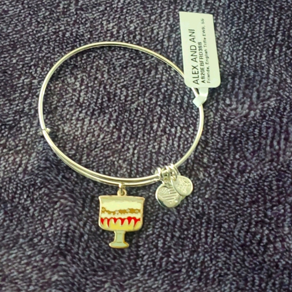 Alex and Ani Friends TV show bracelet